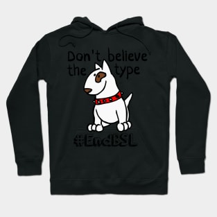 Don't Believe the Type #endBSL End Breed Specific Legislation Hoodie